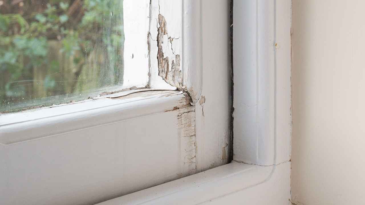 6-signs-your-windows-need-replacement-rotting